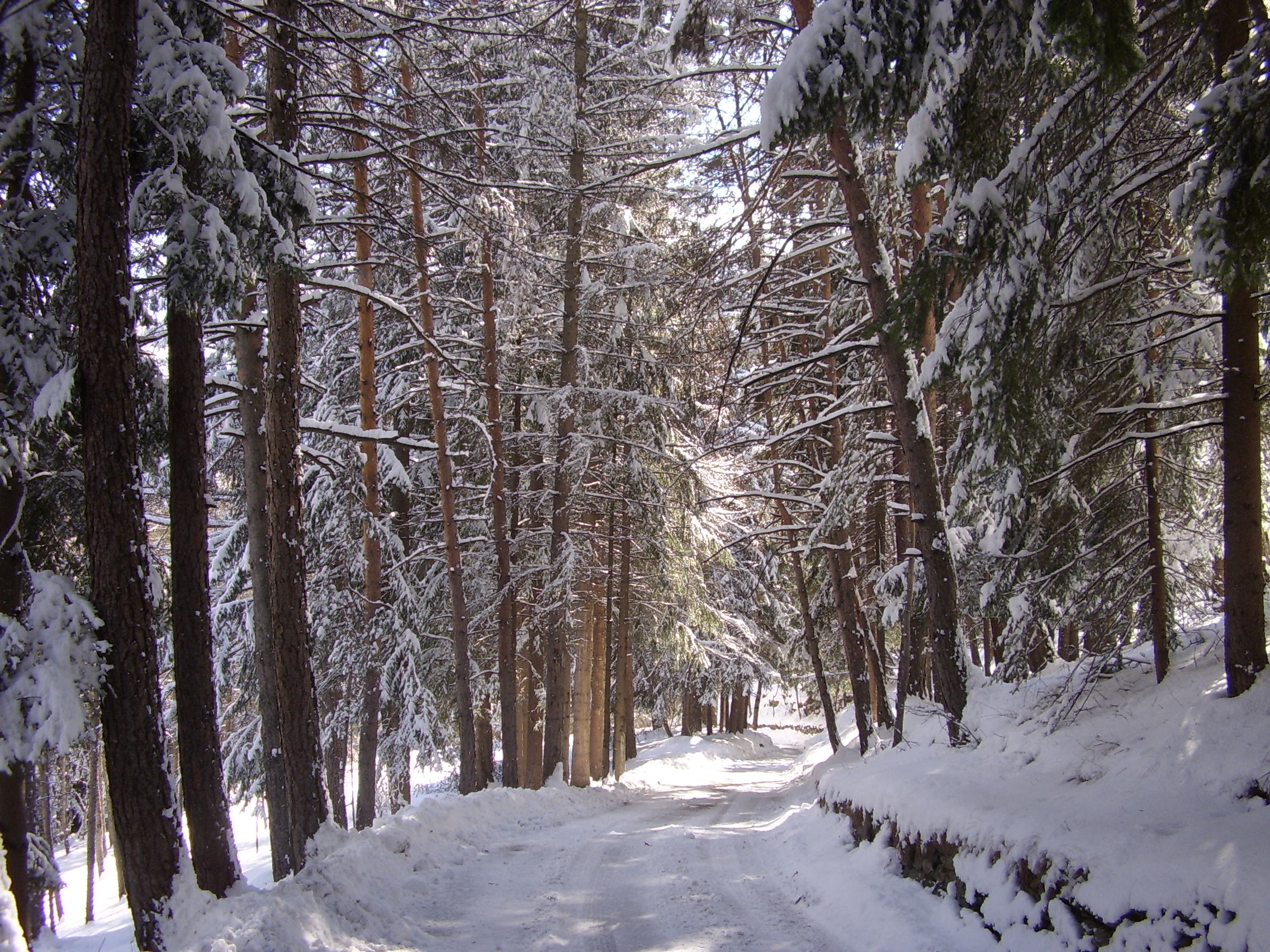 20feb2006 Strada Puy