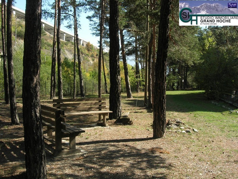 esterni (10)