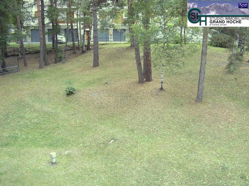 giardino condominiale 5