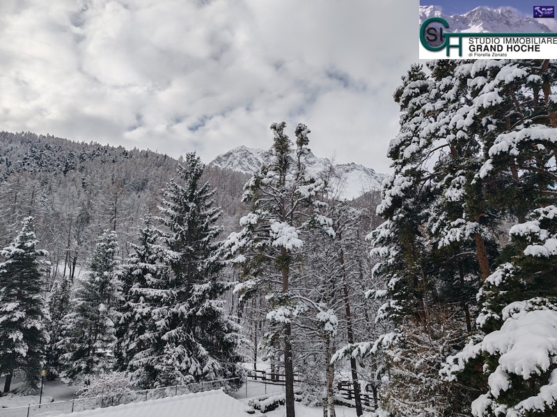 Panorama invernale (4)