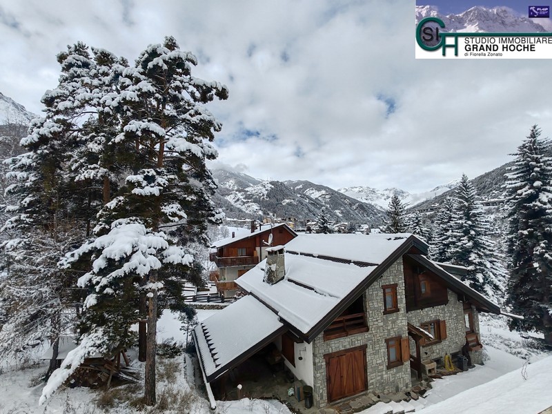 Panorama invernale (6)