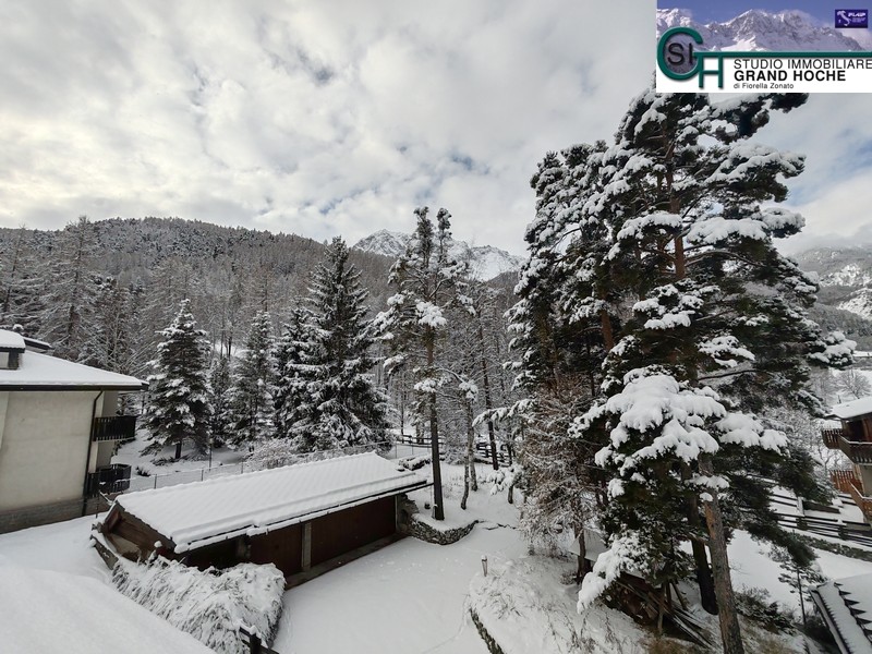 Panorama invernale (7)